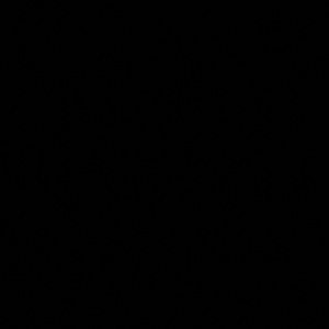 Meet your Posher, Benjamin